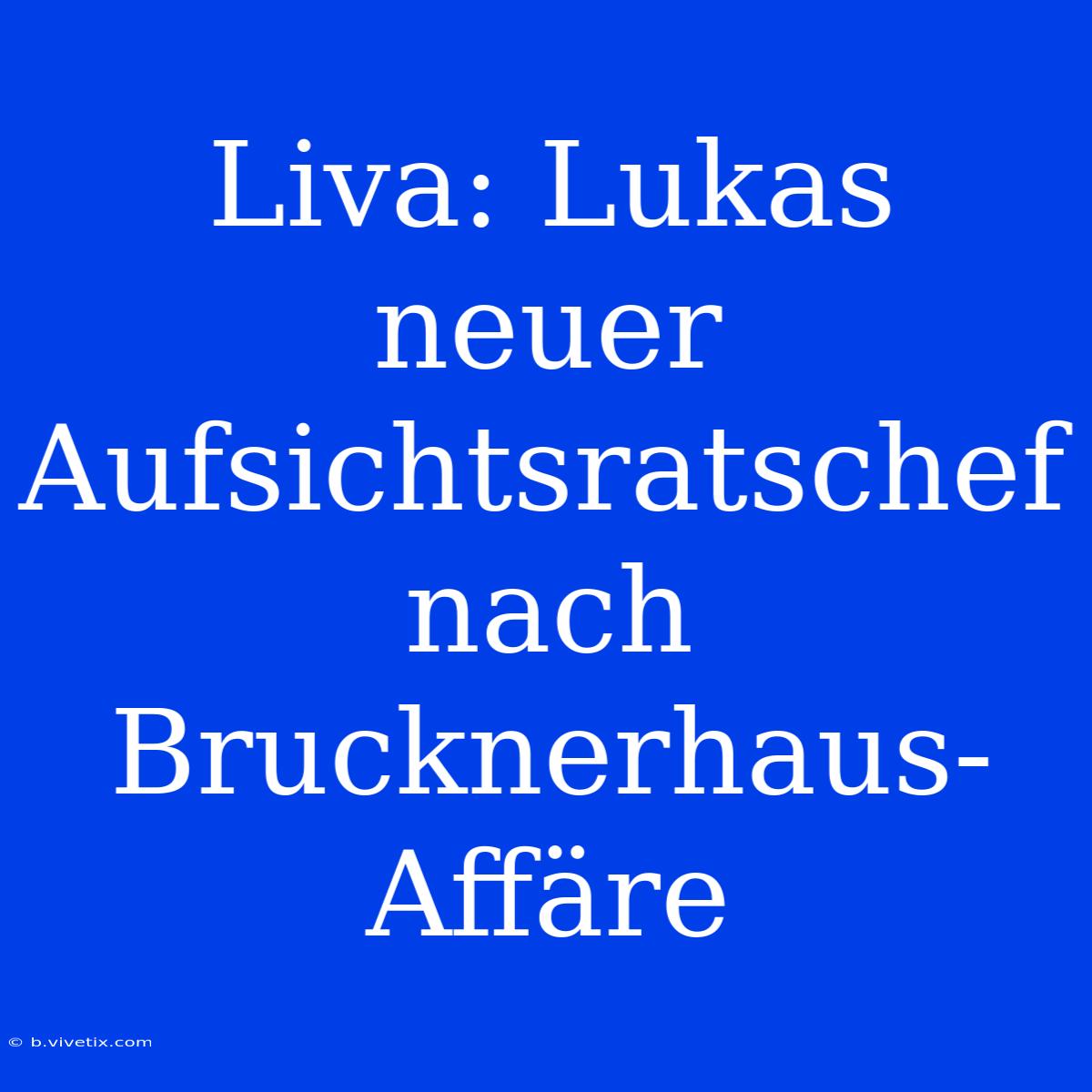 Liva: Lukas Neuer Aufsichtsratschef Nach Brucknerhaus-Affäre