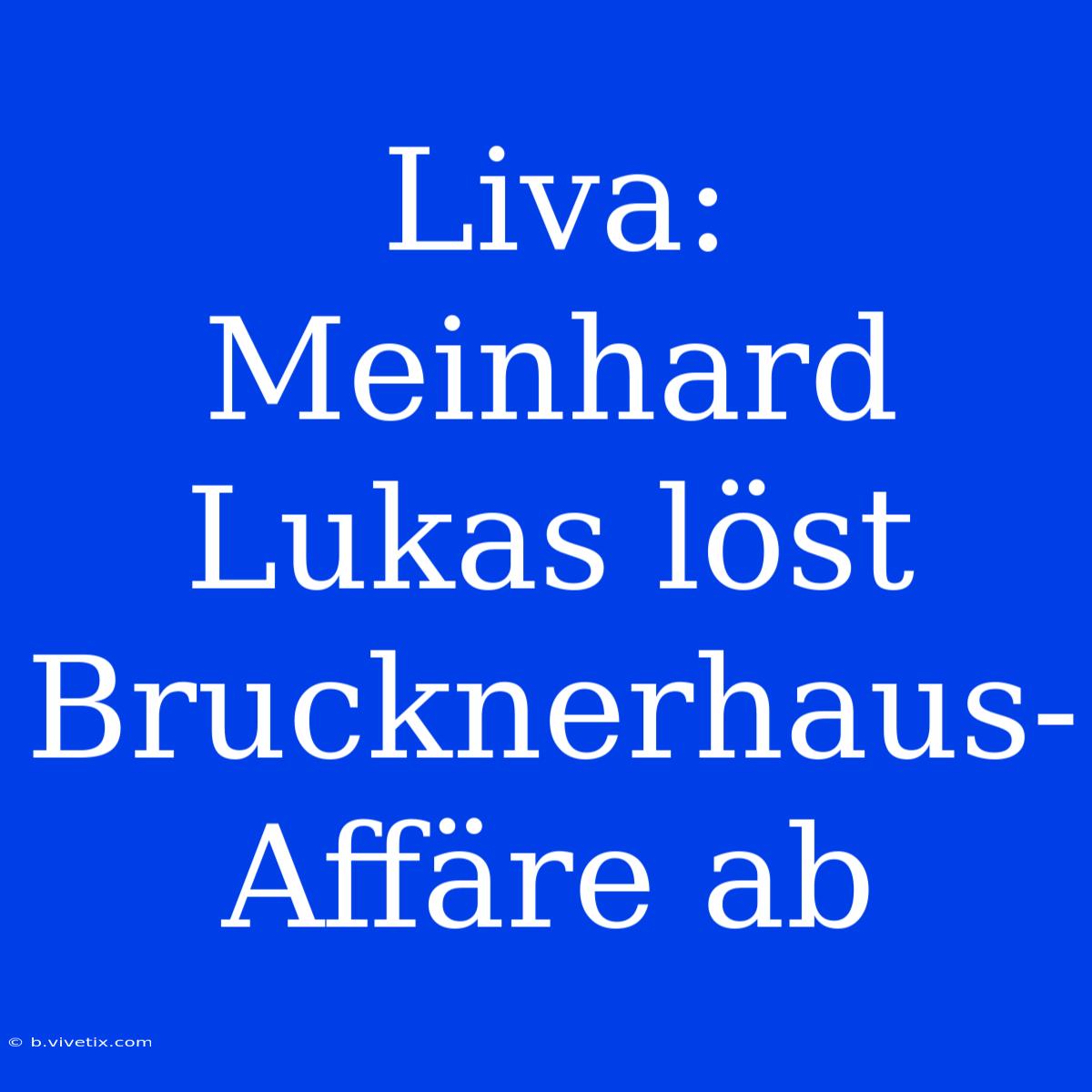 Liva: Meinhard Lukas Löst Brucknerhaus-Affäre Ab