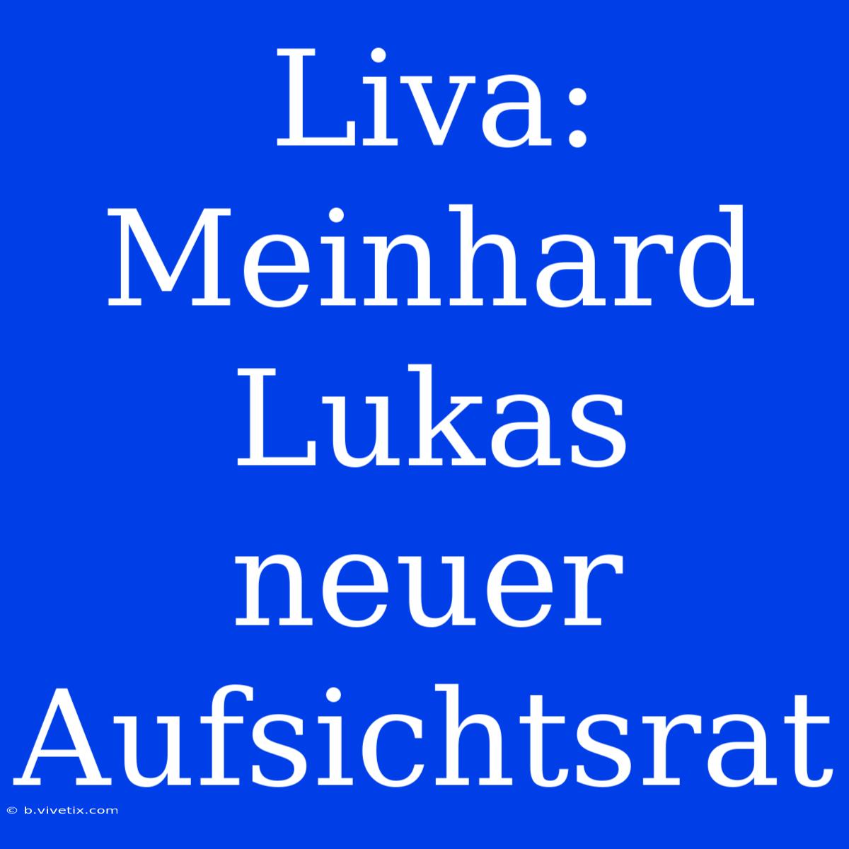 Liva: Meinhard Lukas Neuer Aufsichtsrat