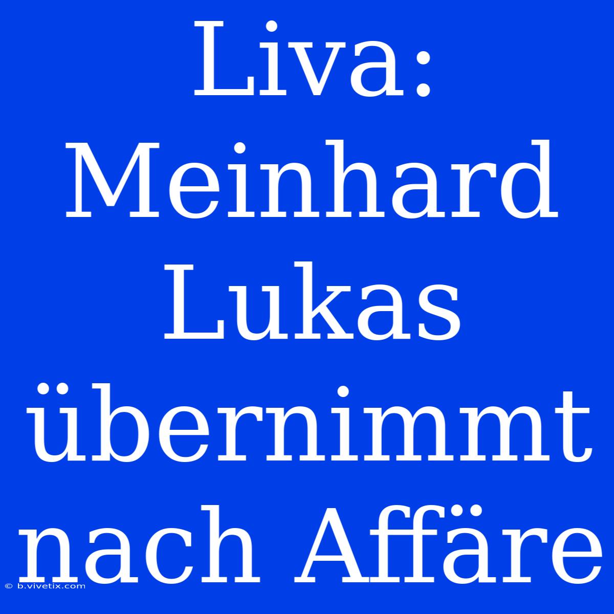 Liva: Meinhard Lukas Übernimmt Nach Affäre