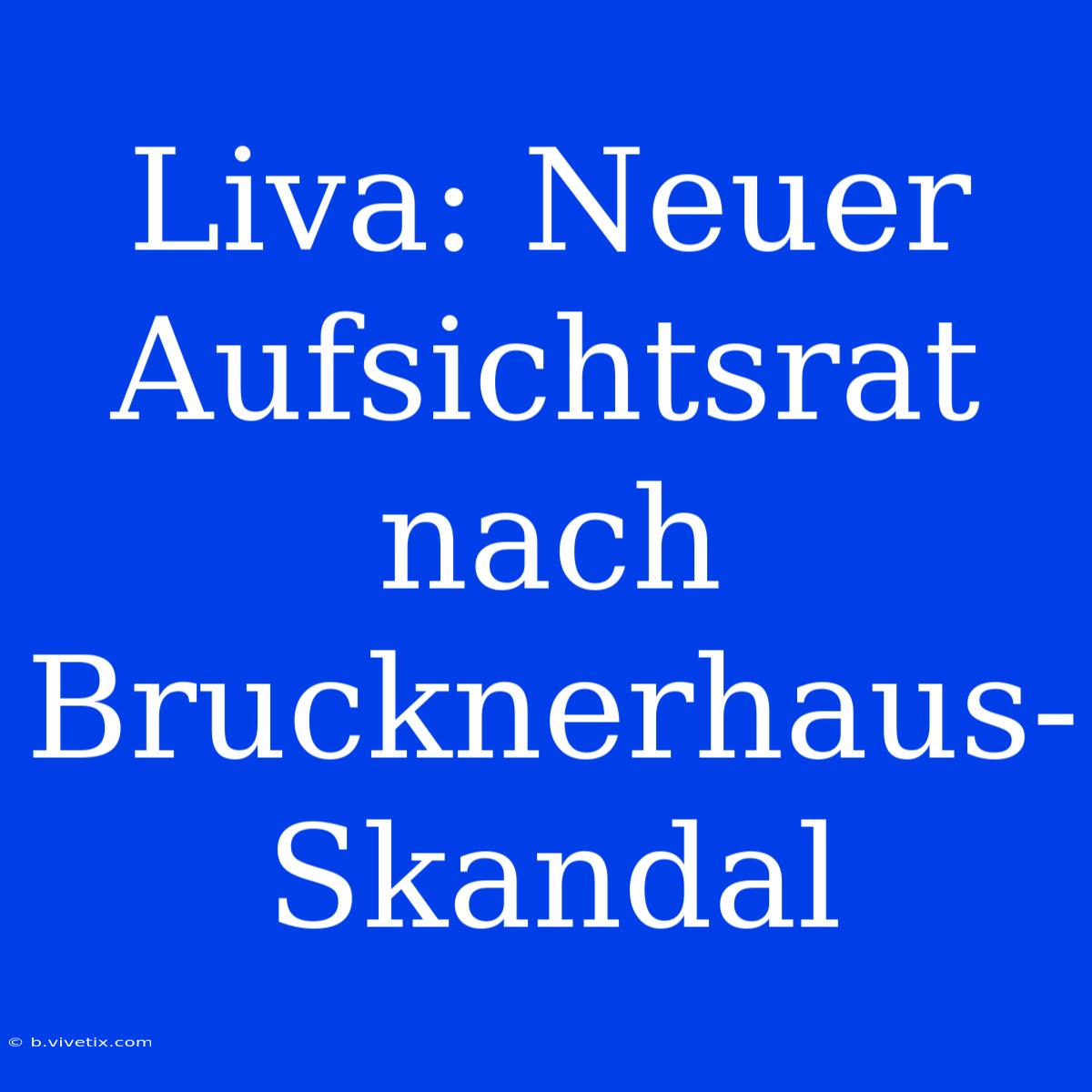 Liva: Neuer Aufsichtsrat Nach Brucknerhaus-Skandal