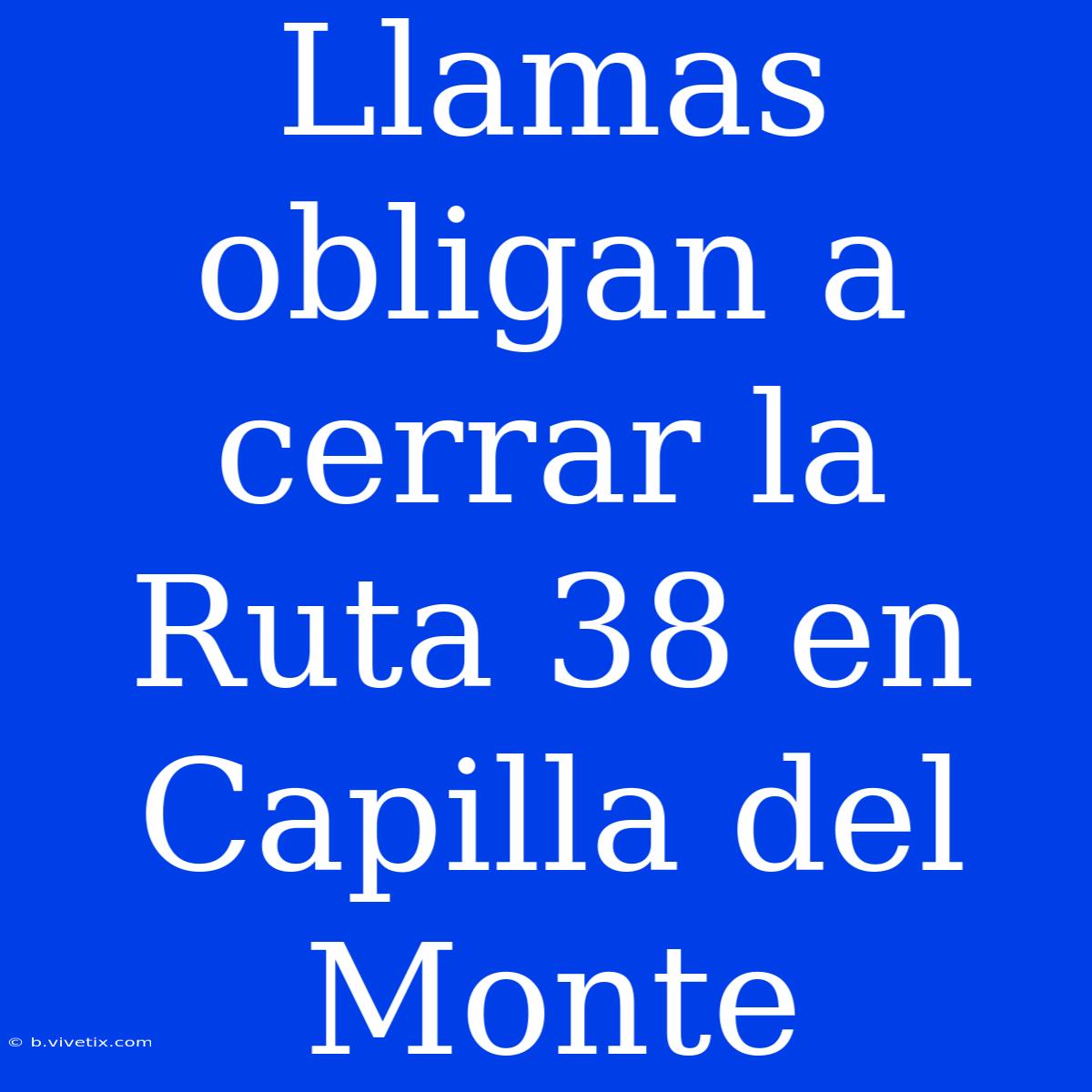 Llamas Obligan A Cerrar La Ruta 38 En Capilla Del Monte