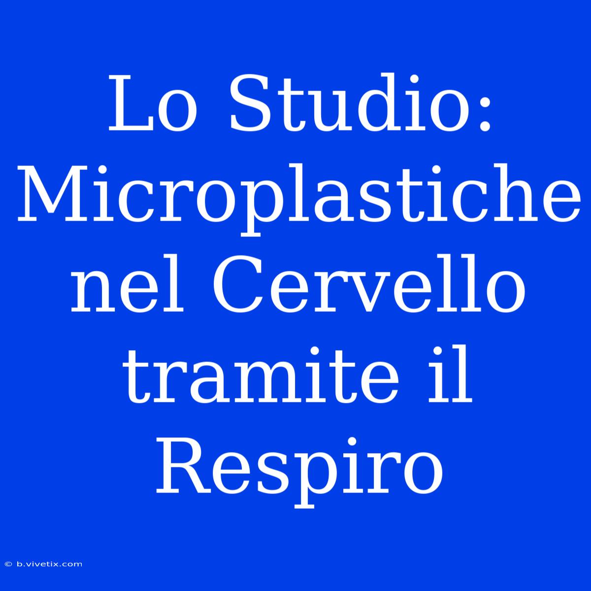 Lo Studio: Microplastiche Nel Cervello Tramite Il Respiro