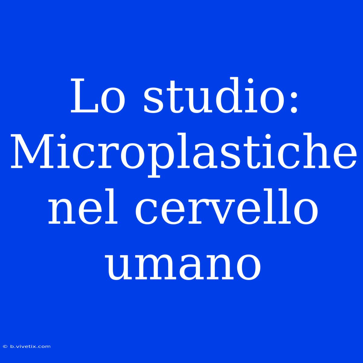 Lo Studio: Microplastiche Nel Cervello Umano