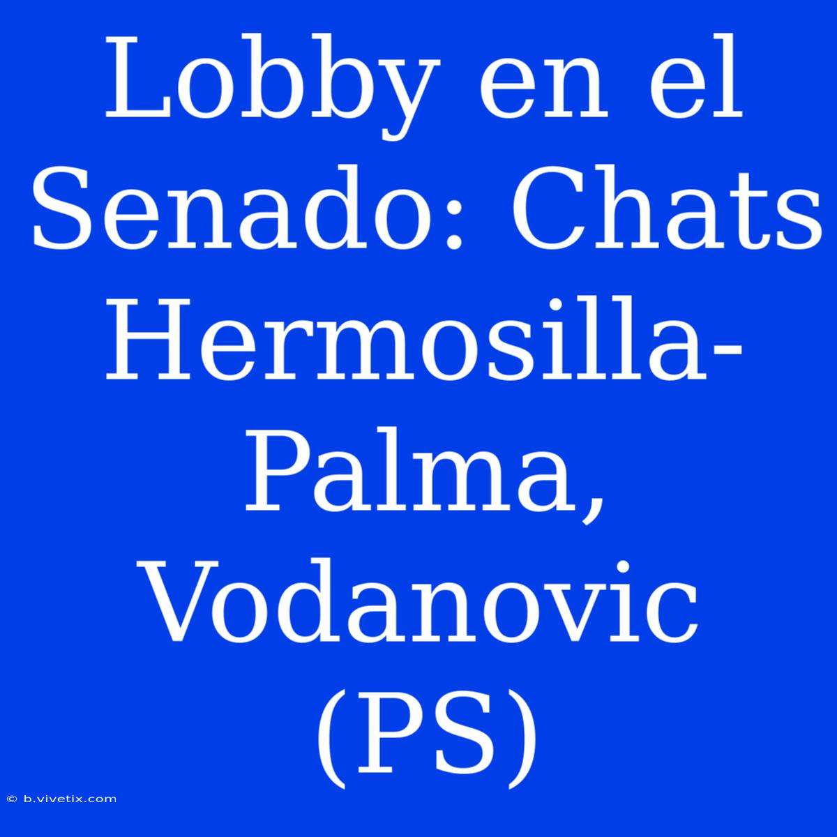 Lobby En El Senado: Chats Hermosilla-Palma, Vodanovic (PS) 