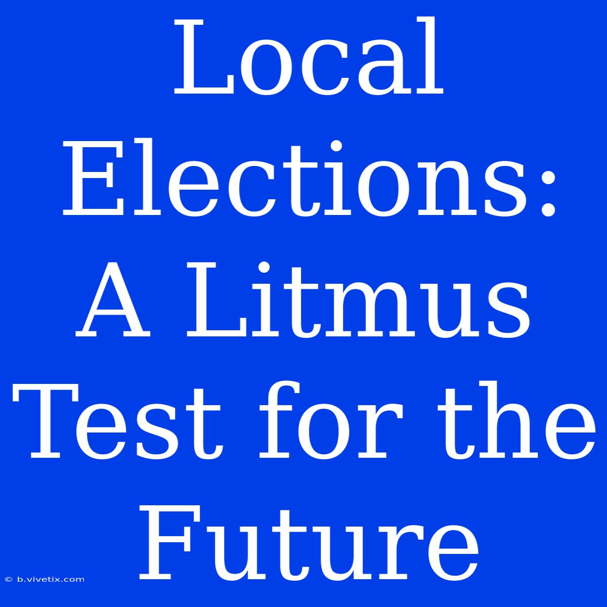 Local Elections:  A Litmus Test For The Future