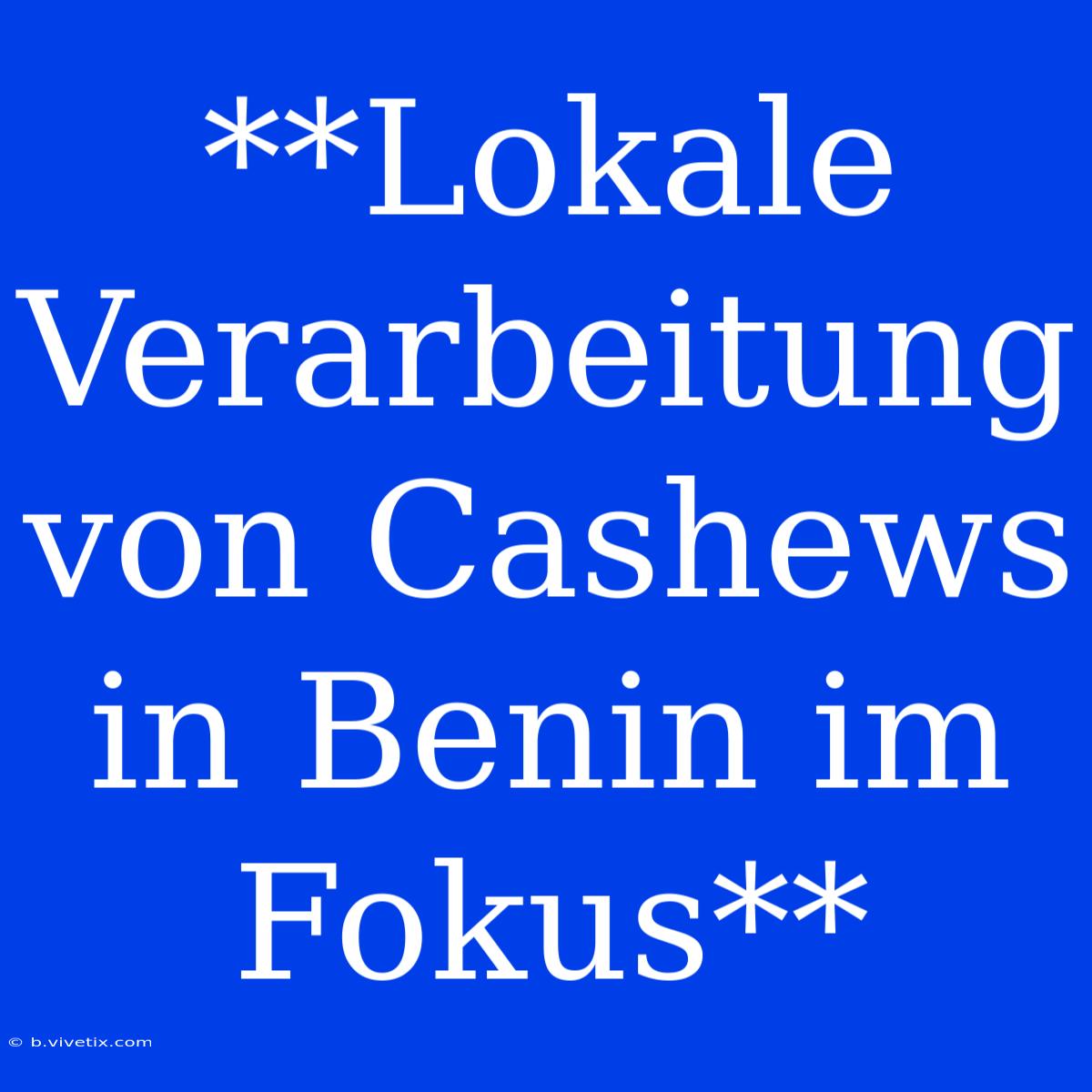 **Lokale Verarbeitung Von Cashews In Benin Im Fokus**