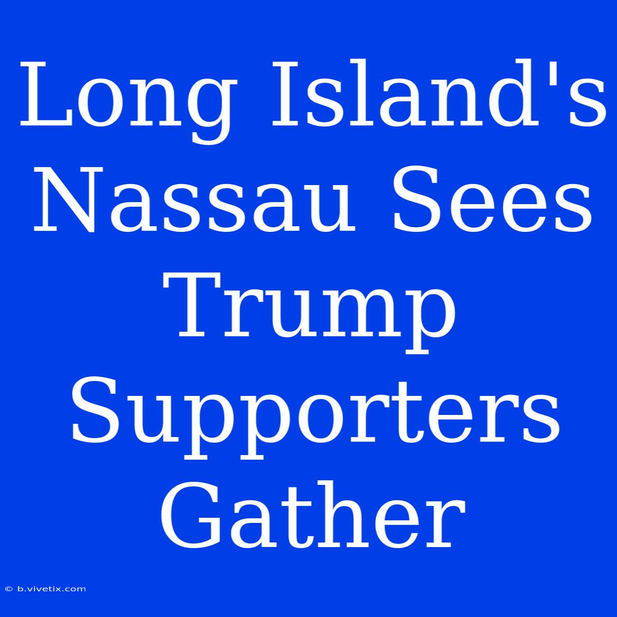 Long Island's Nassau Sees Trump Supporters Gather