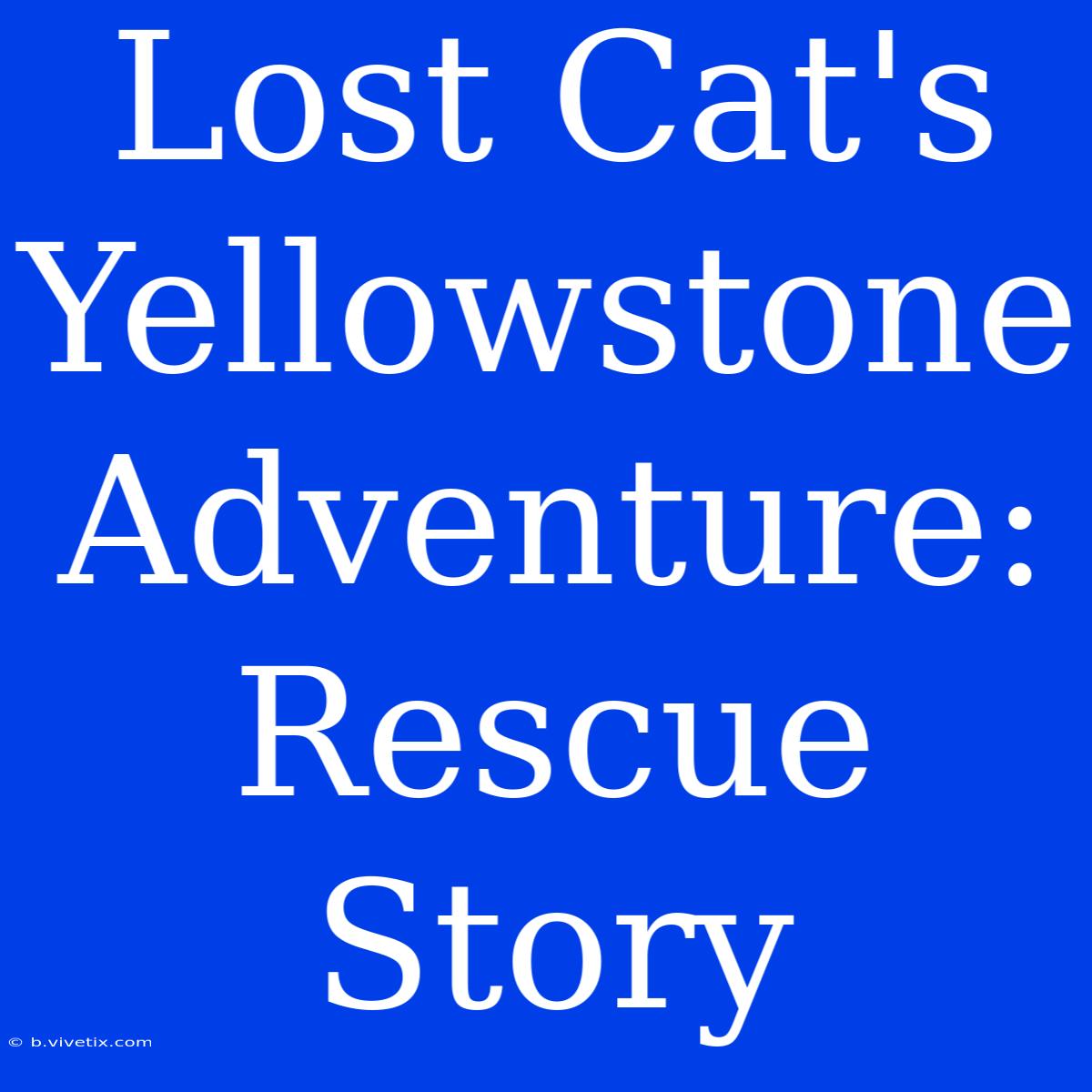 Lost Cat's Yellowstone Adventure: Rescue Story