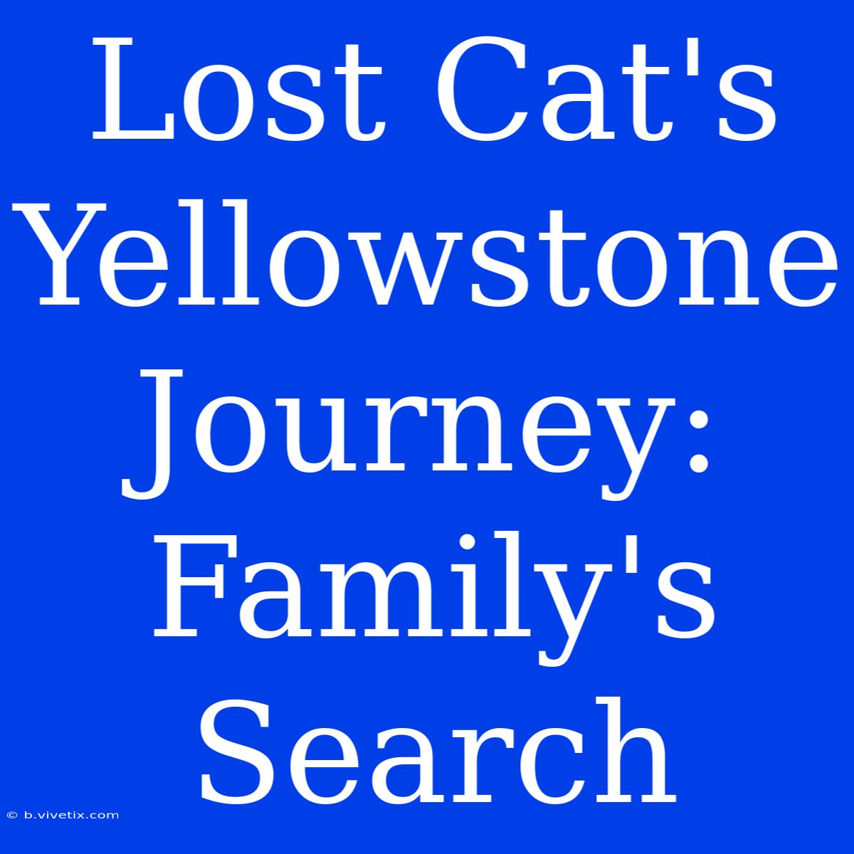 Lost Cat's Yellowstone Journey: Family's Search