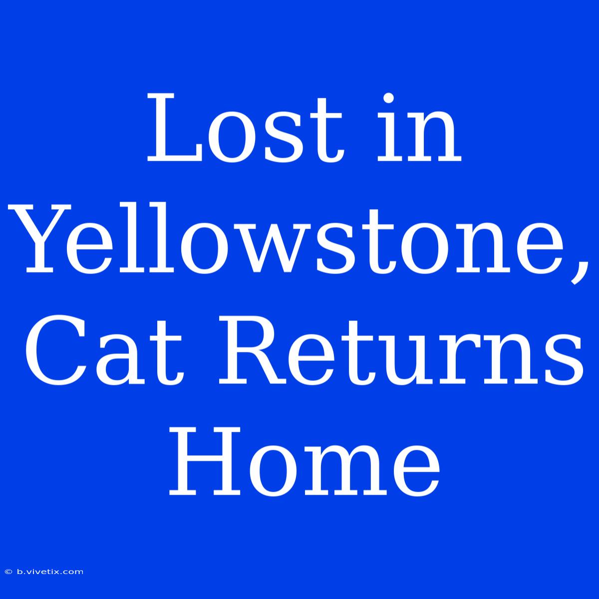 Lost In Yellowstone, Cat Returns Home 