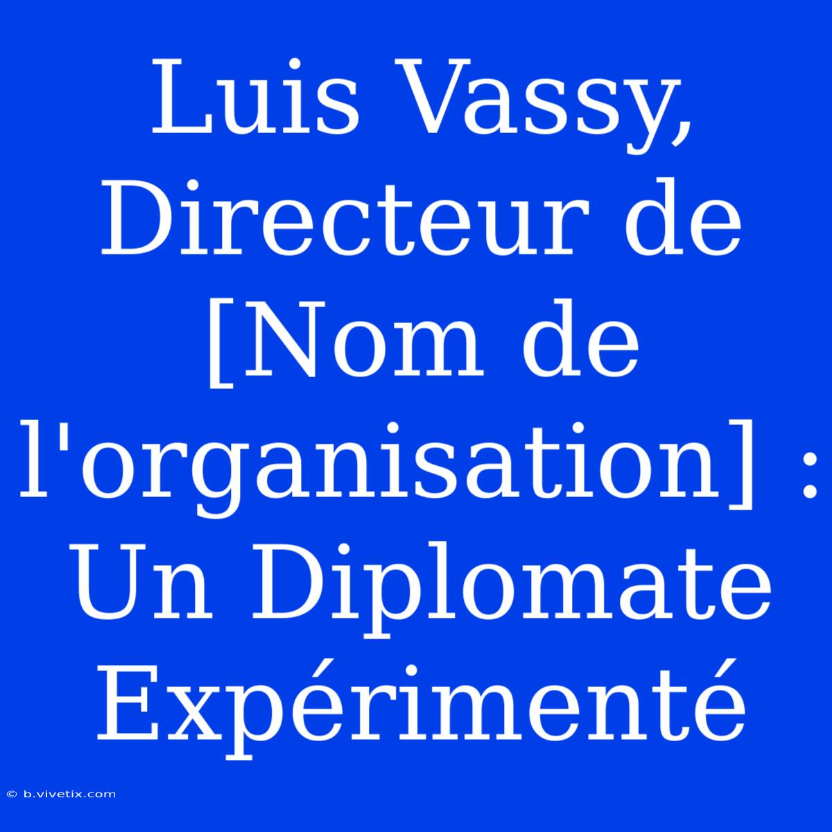 Luis Vassy, Directeur De [Nom De L'organisation] : Un Diplomate Expérimenté