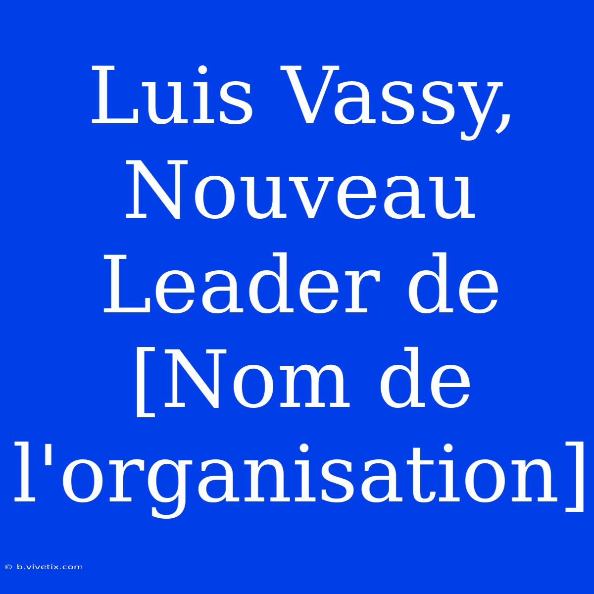 Luis Vassy, Nouveau Leader De [Nom De L'organisation]