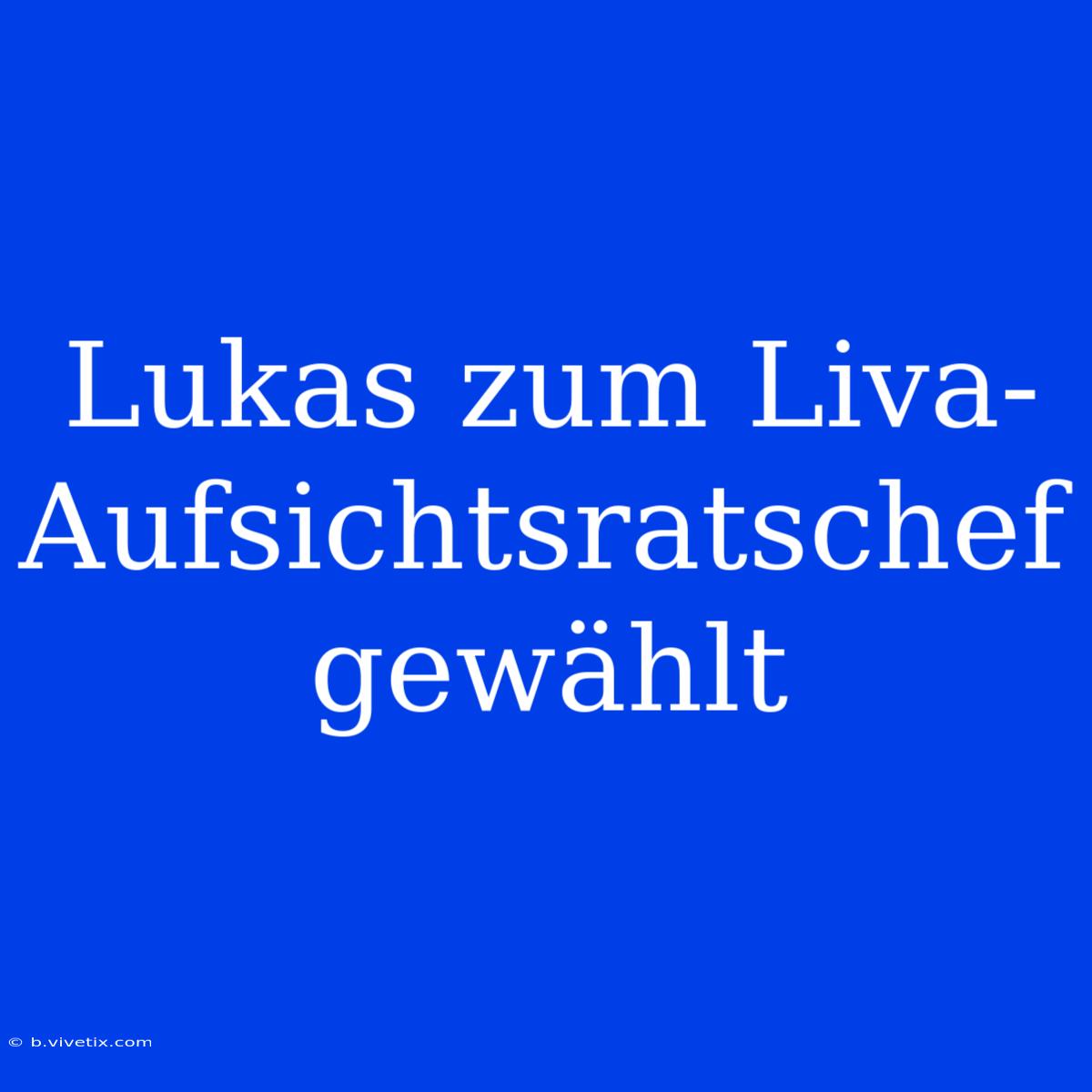 Lukas Zum Liva-Aufsichtsratschef Gewählt