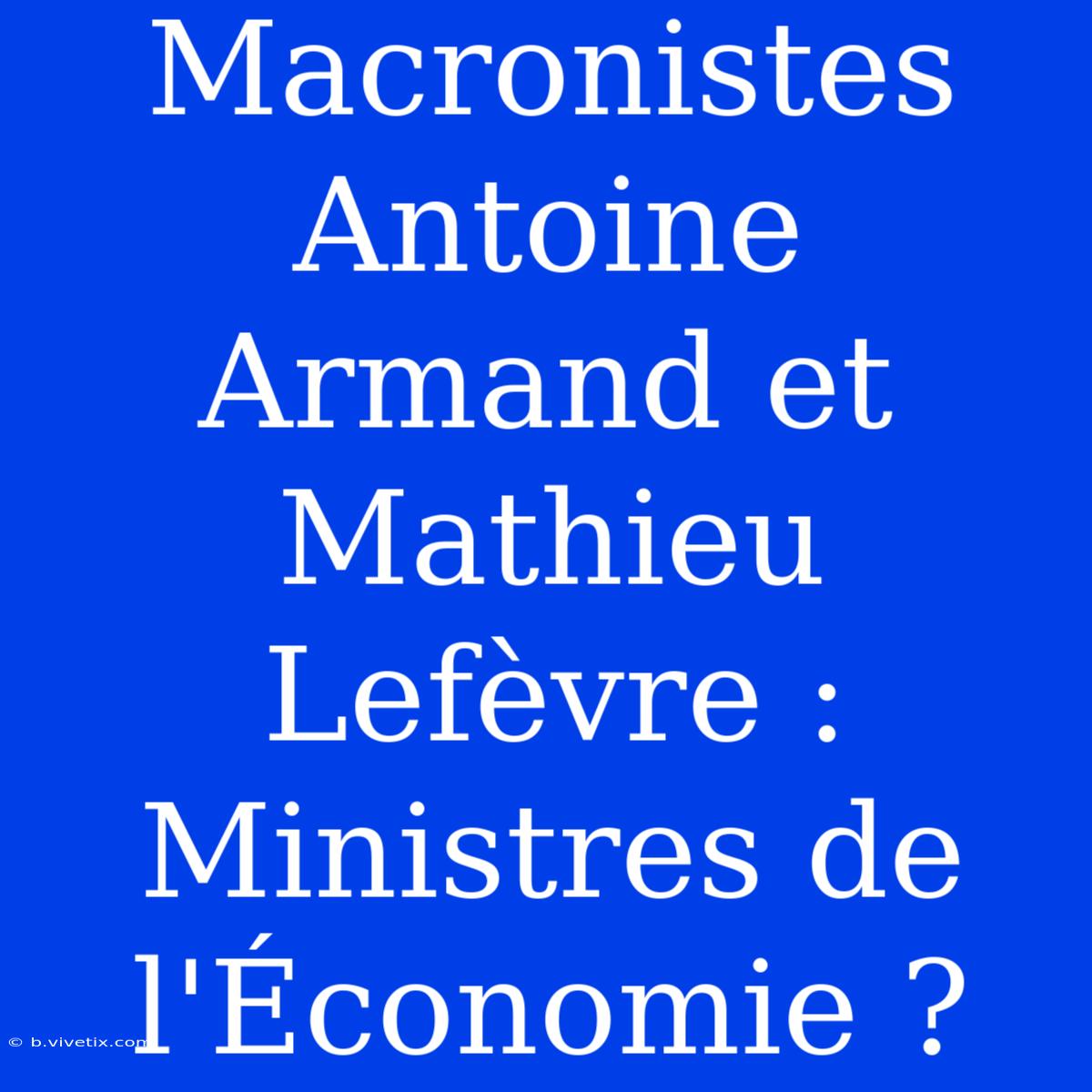 Macronistes Antoine Armand Et Mathieu Lefèvre : Ministres De L'Économie ?