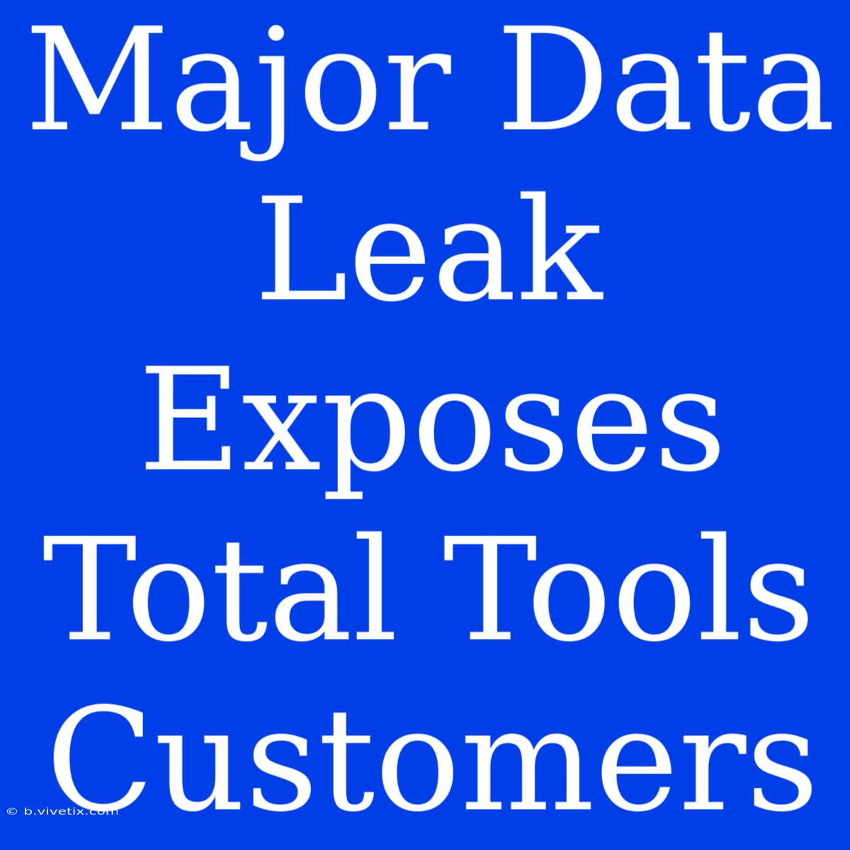 Major Data Leak Exposes Total Tools Customers