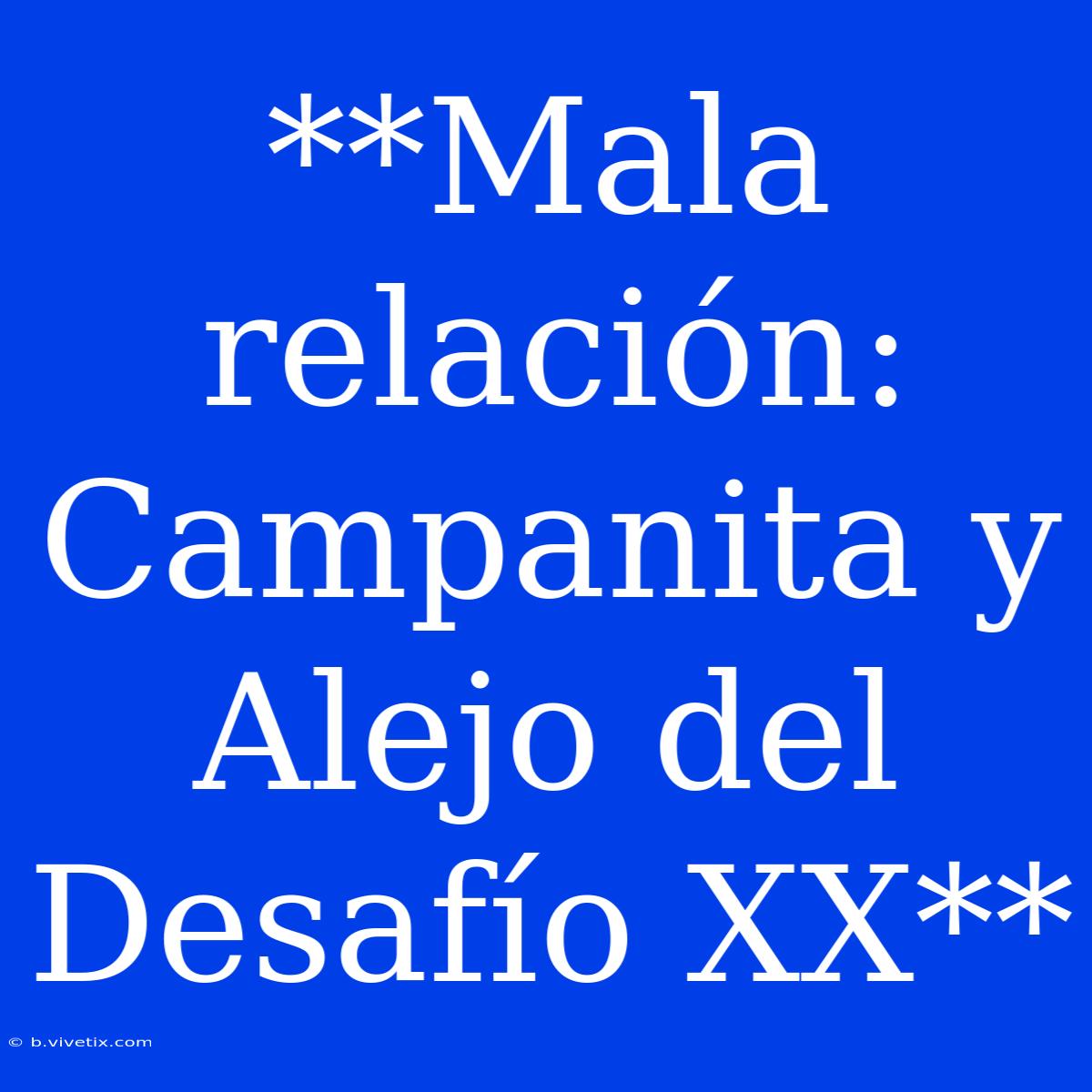 **Mala Relación: Campanita Y Alejo Del Desafío XX**