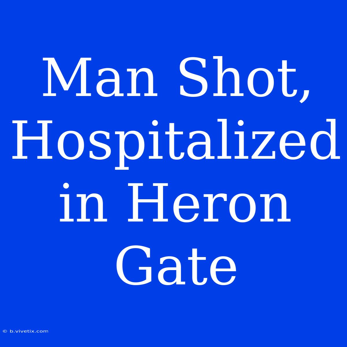 Man Shot, Hospitalized In Heron Gate