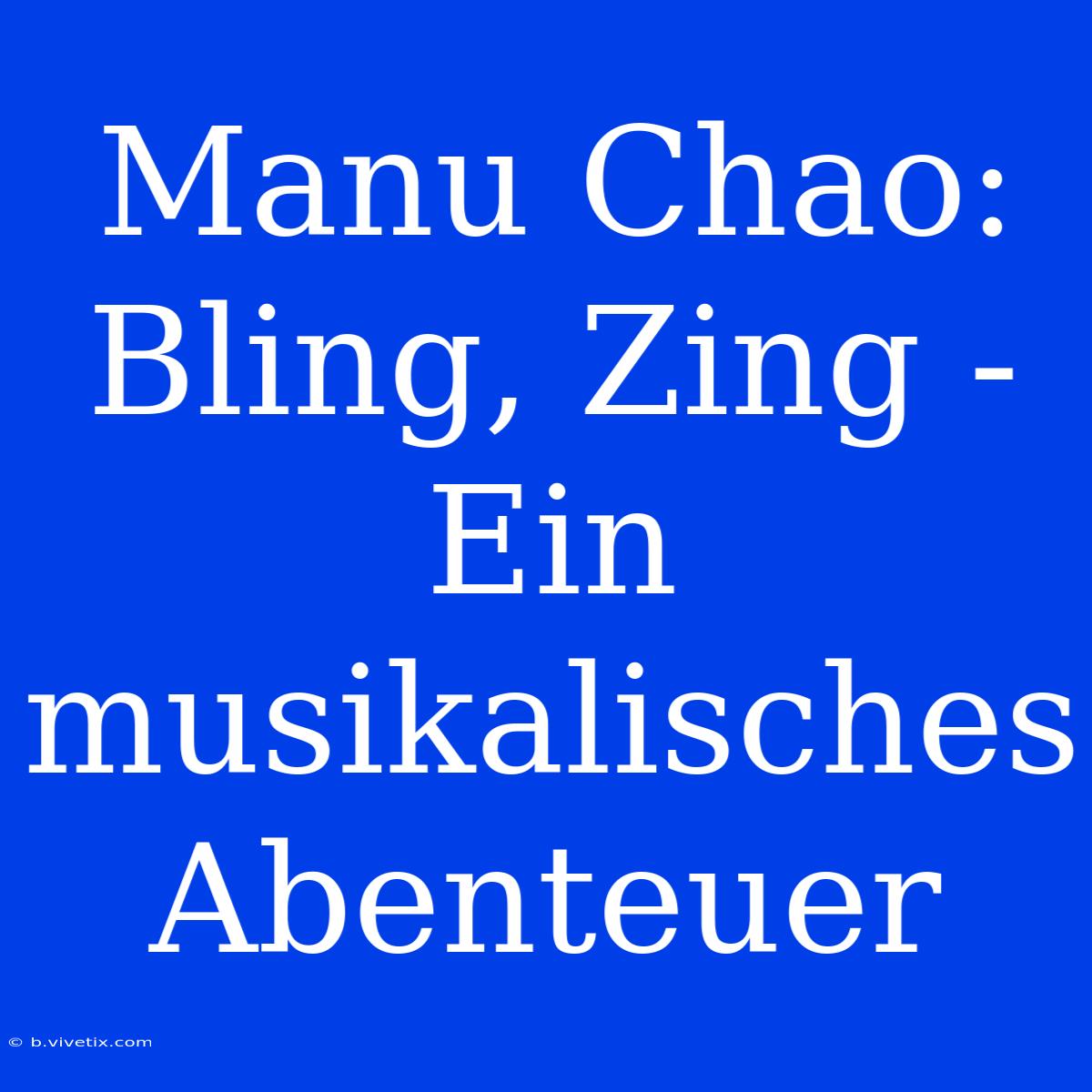 Manu Chao: Bling, Zing - Ein Musikalisches Abenteuer 