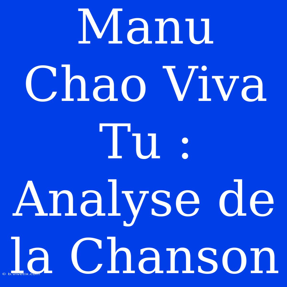 Manu Chao Viva Tu : Analyse De La Chanson