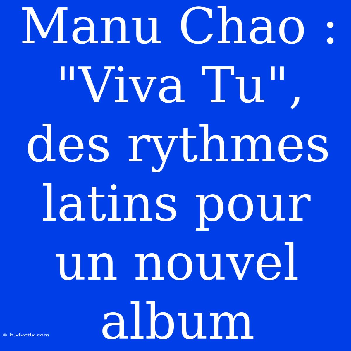 Manu Chao : 