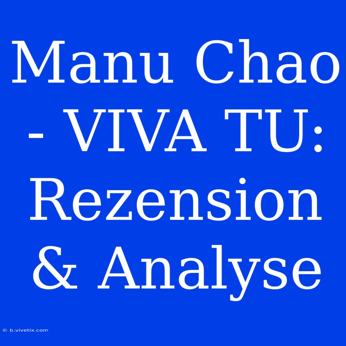 Manu Chao - VIVA TU: Rezension & Analyse