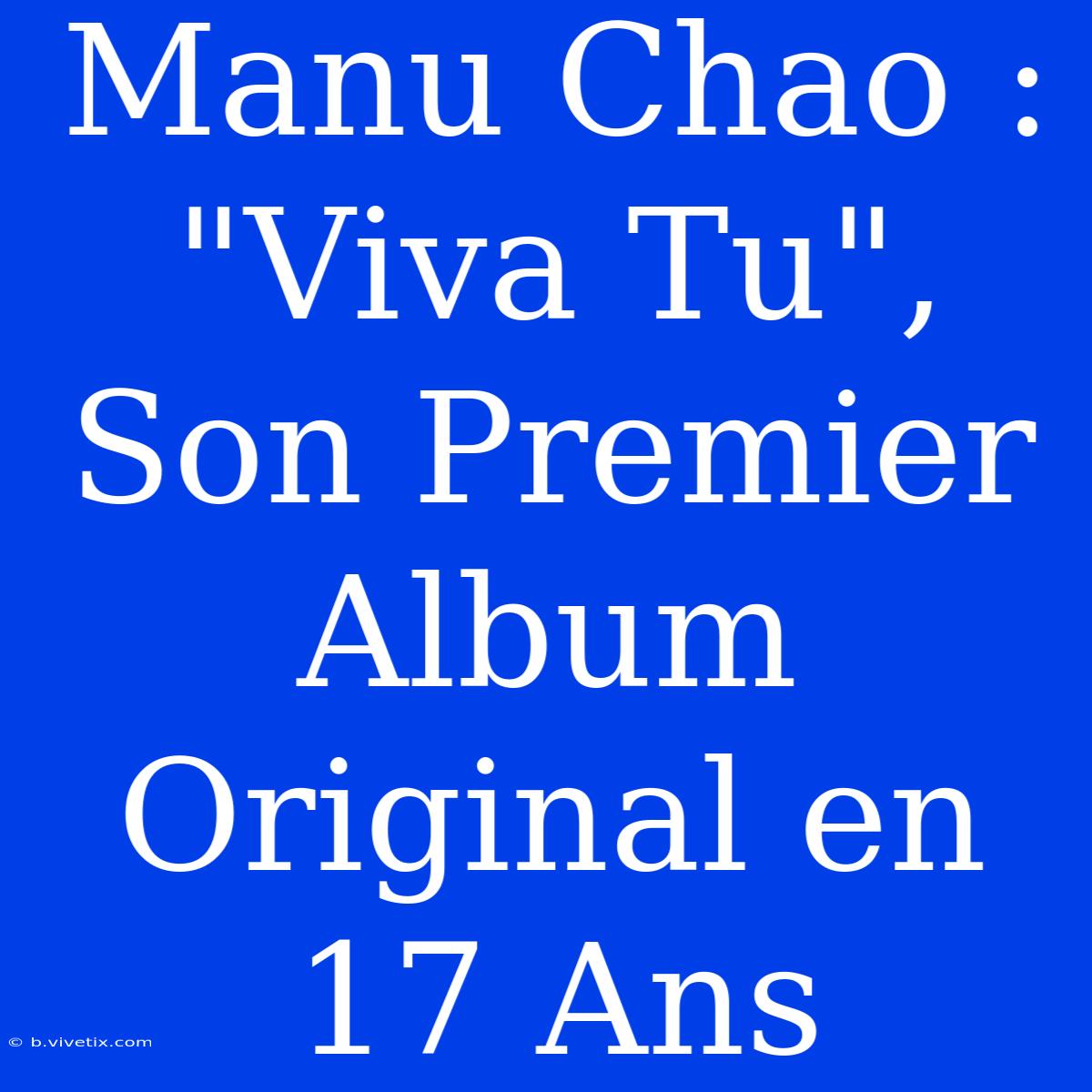 Manu Chao : 