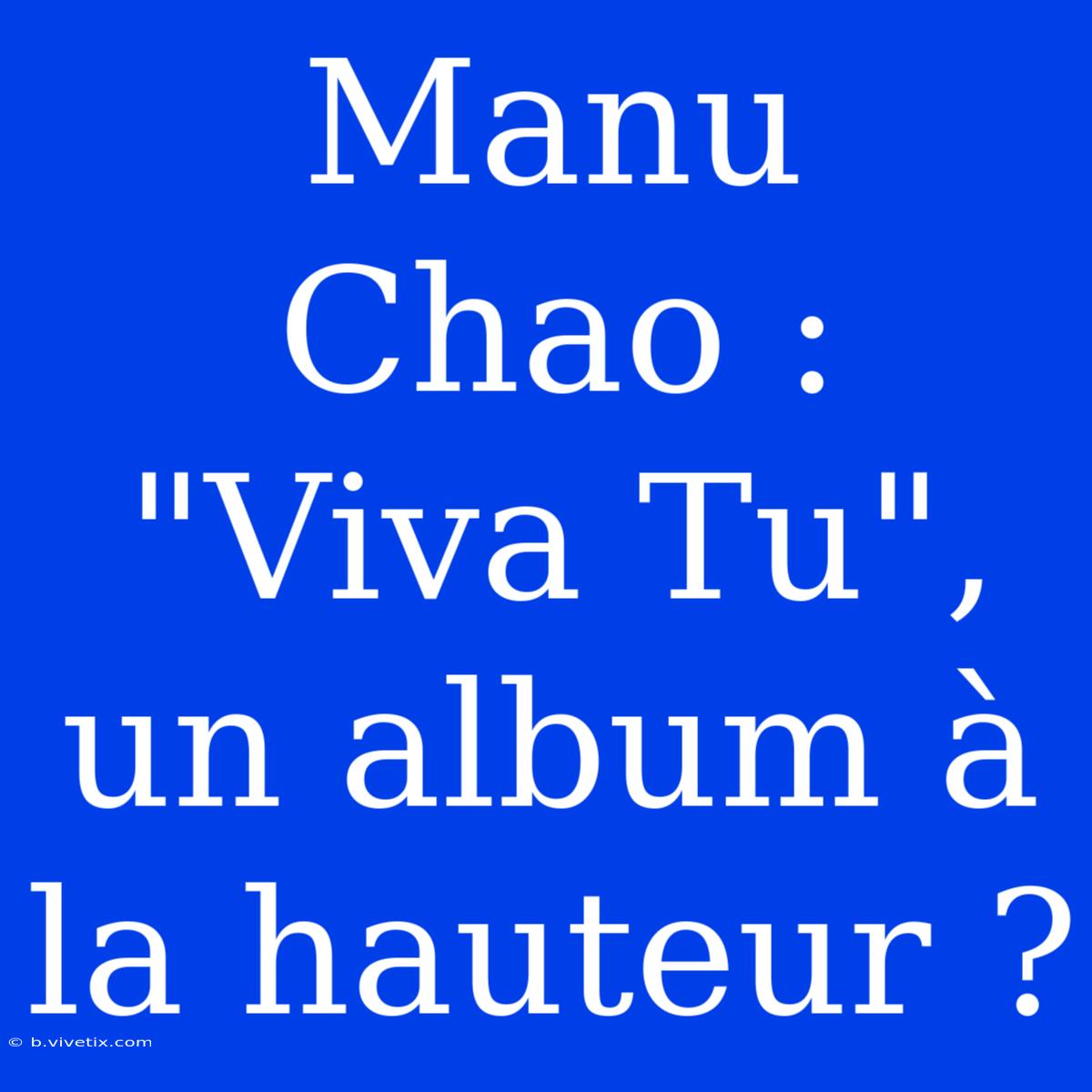 Manu Chao : 