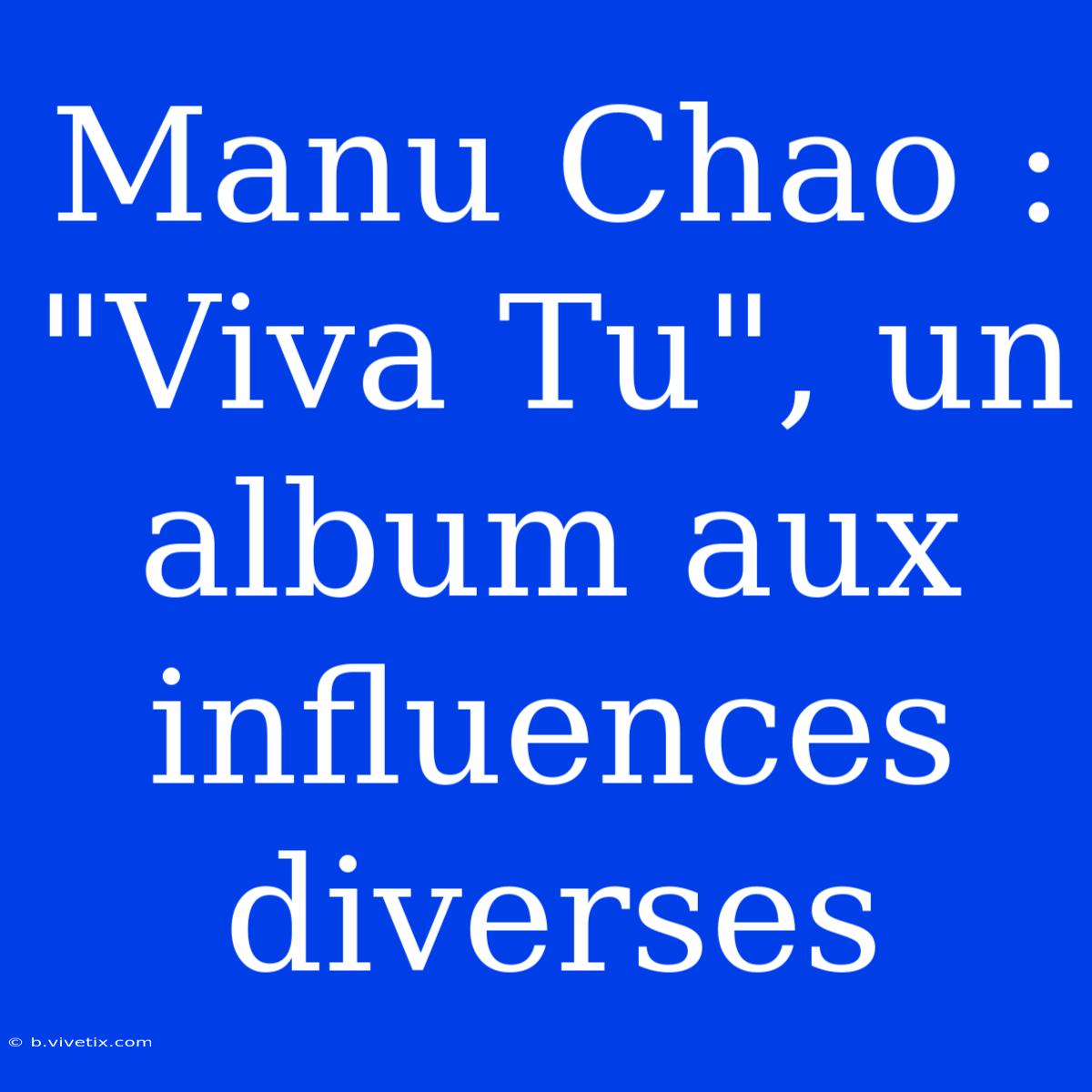 Manu Chao : 