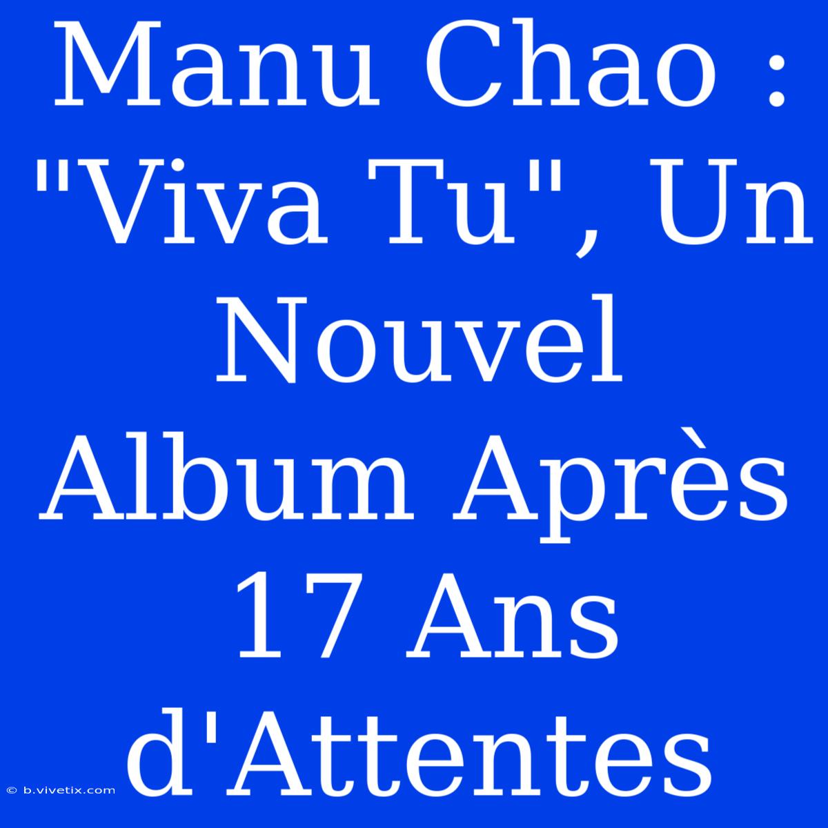 Manu Chao : 