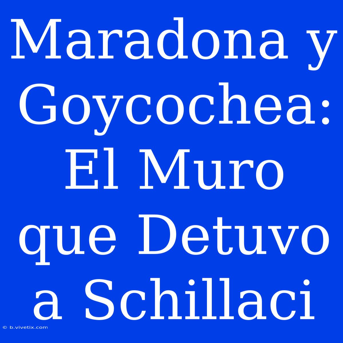 Maradona Y Goycochea: El Muro Que Detuvo A Schillaci