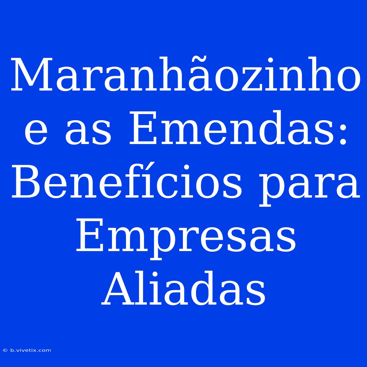 Maranhãozinho E As Emendas: Benefícios Para Empresas Aliadas