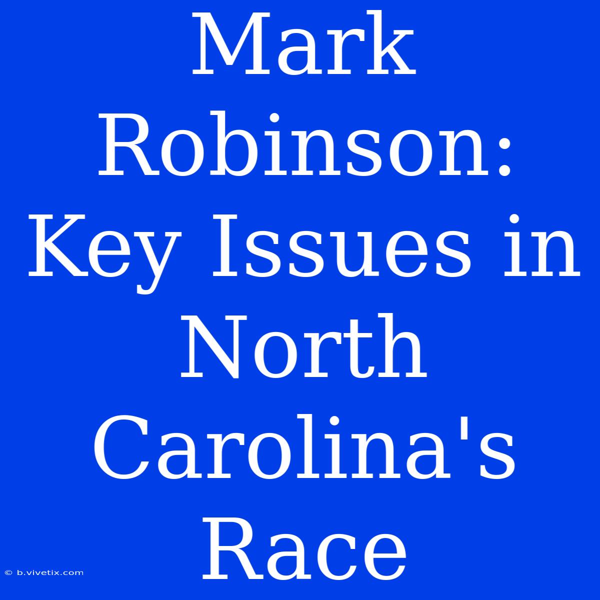 Mark Robinson: Key Issues In North Carolina's Race