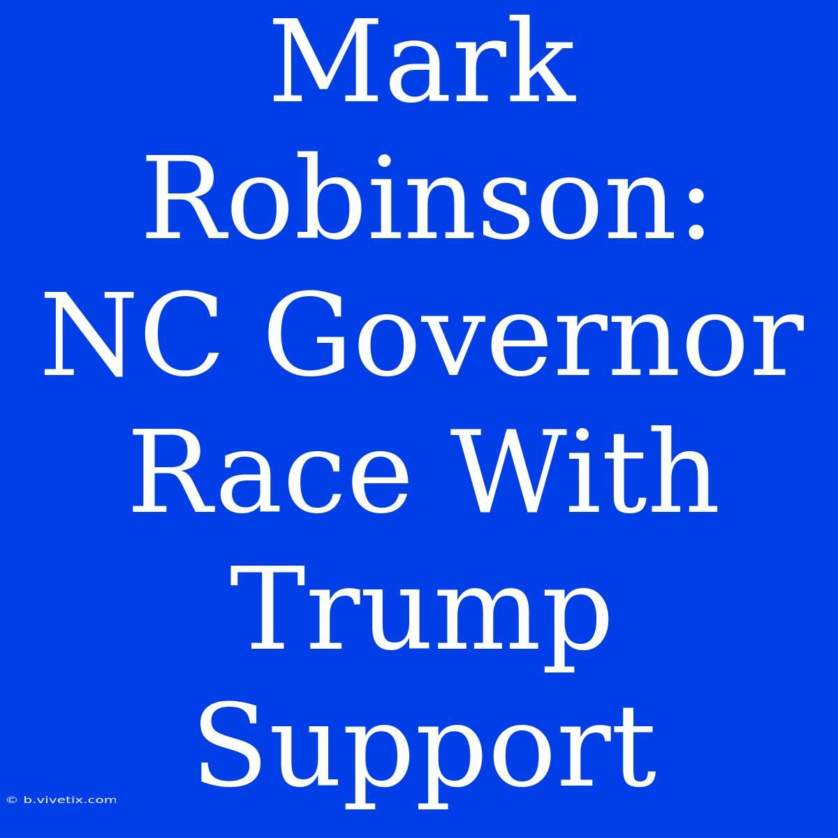 Mark Robinson:  NC Governor Race With Trump Support