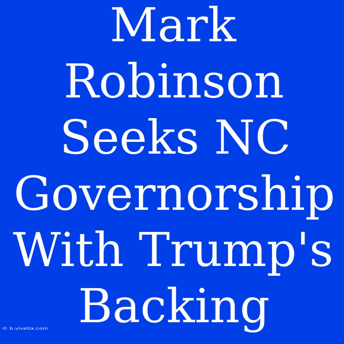 Mark Robinson Seeks NC Governorship With Trump's Backing