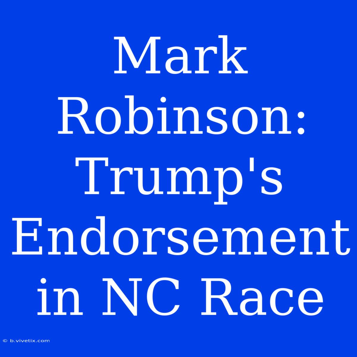 Mark Robinson: Trump's Endorsement In NC Race