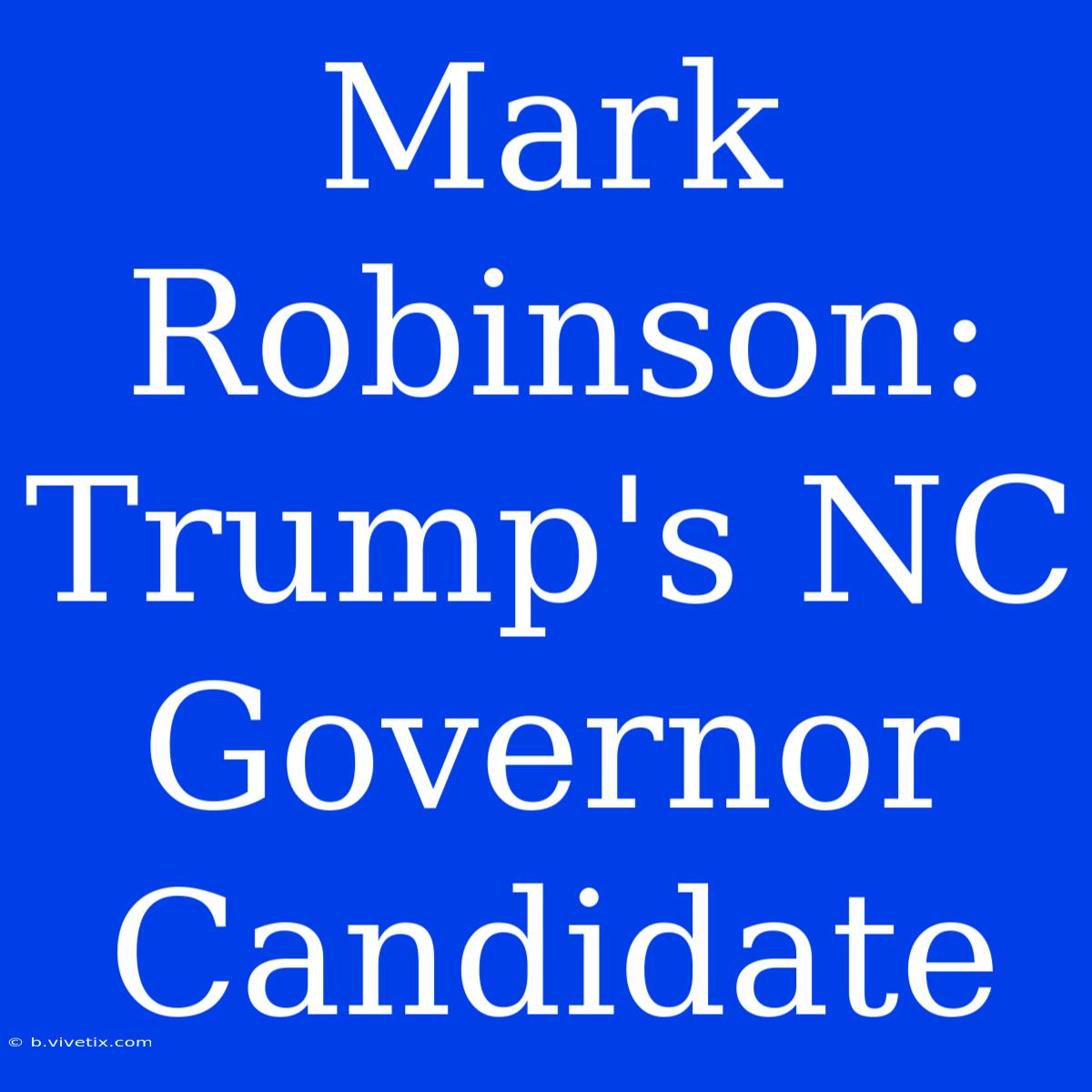 Mark Robinson:  Trump's NC Governor Candidate