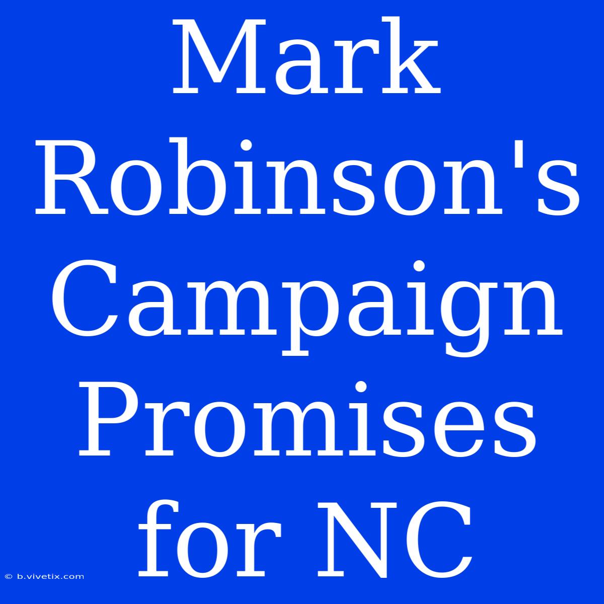 Mark Robinson's Campaign Promises For NC