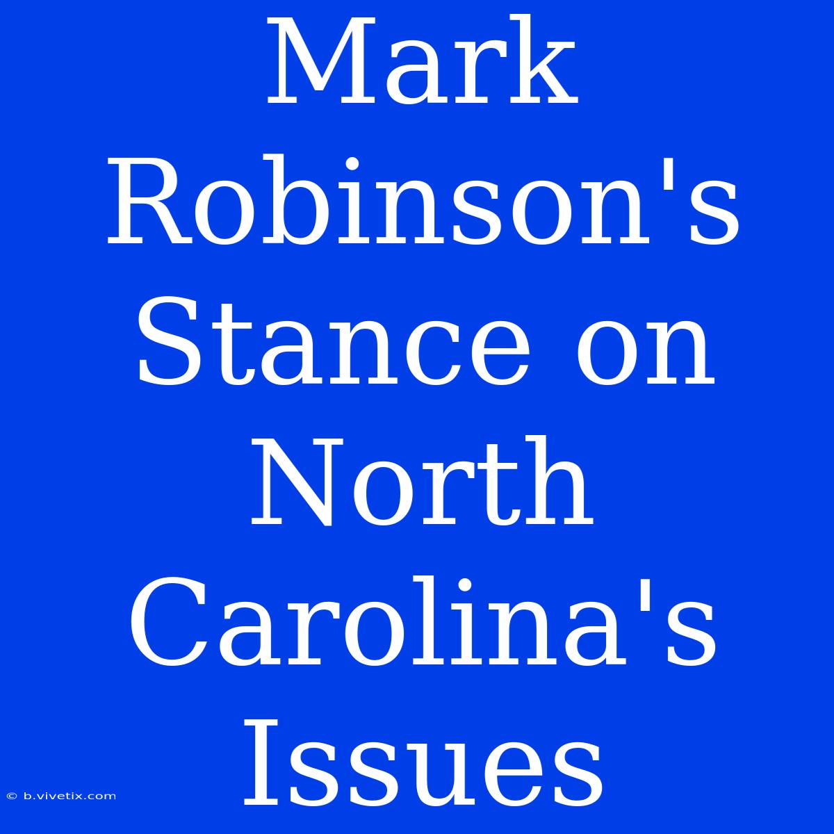 Mark Robinson's Stance On North Carolina's Issues