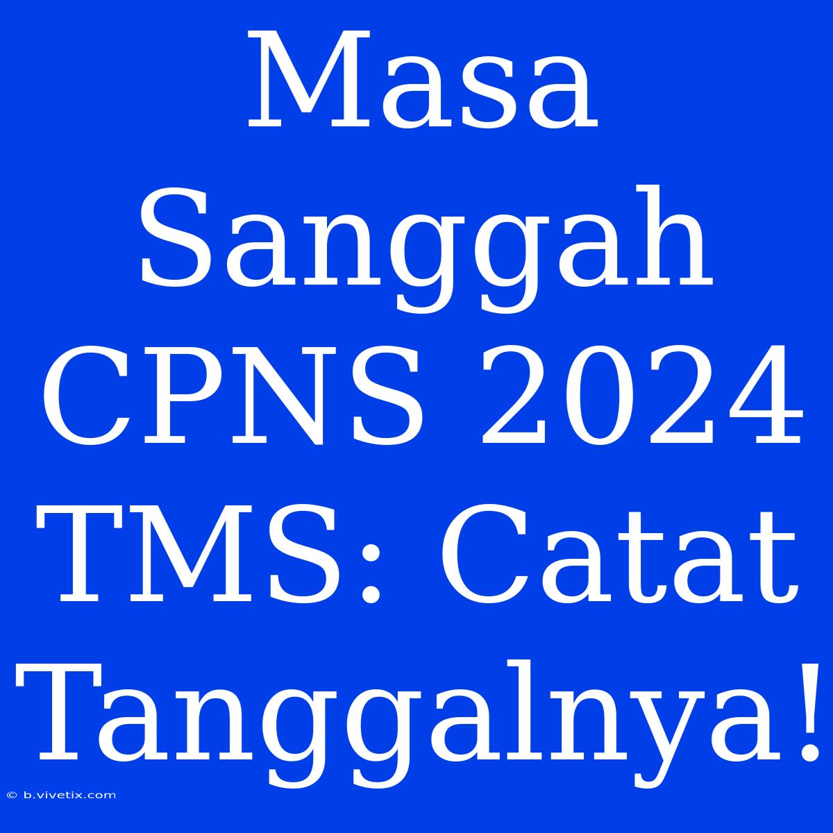 Masa Sanggah CPNS 2024 TMS: Catat Tanggalnya!