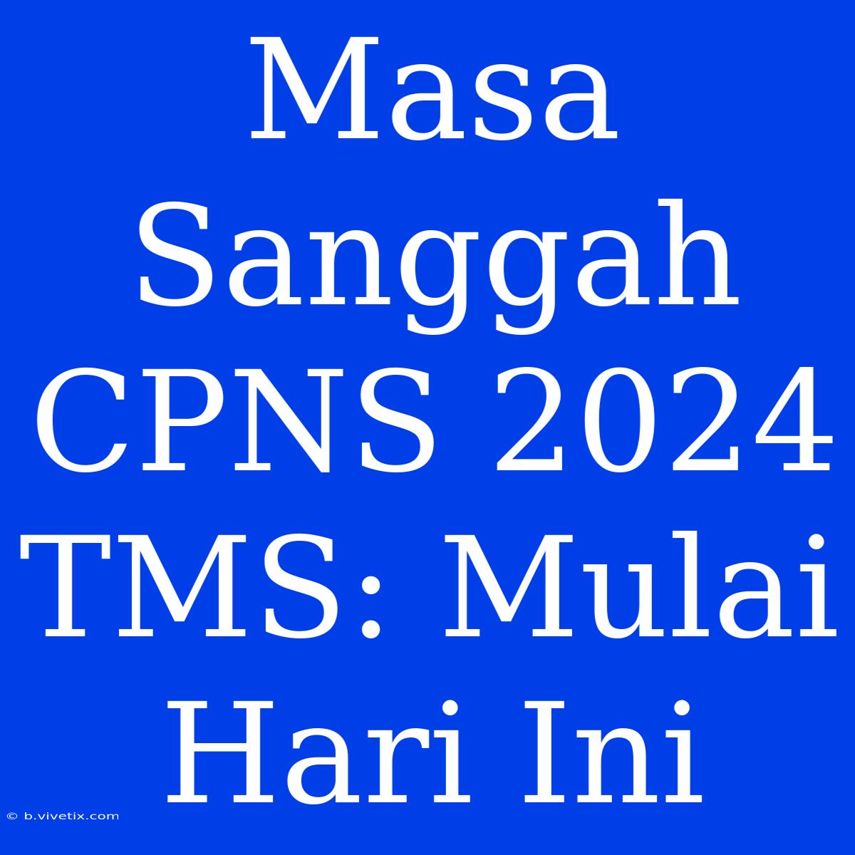 Masa Sanggah CPNS 2024 TMS: Mulai Hari Ini