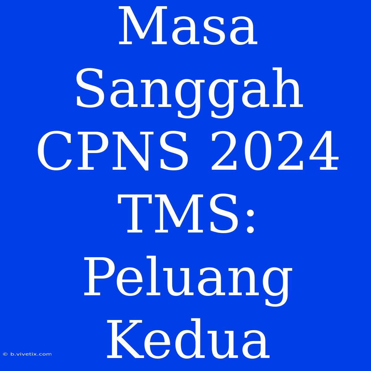 Masa Sanggah CPNS 2024 TMS: Peluang Kedua