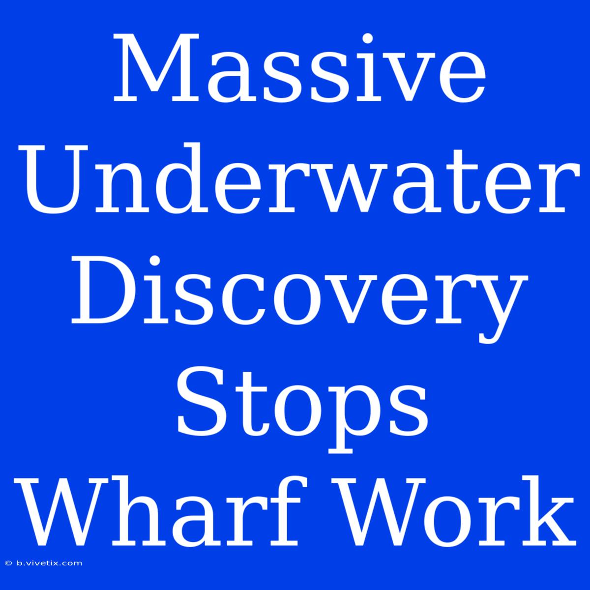 Massive Underwater Discovery Stops Wharf Work 