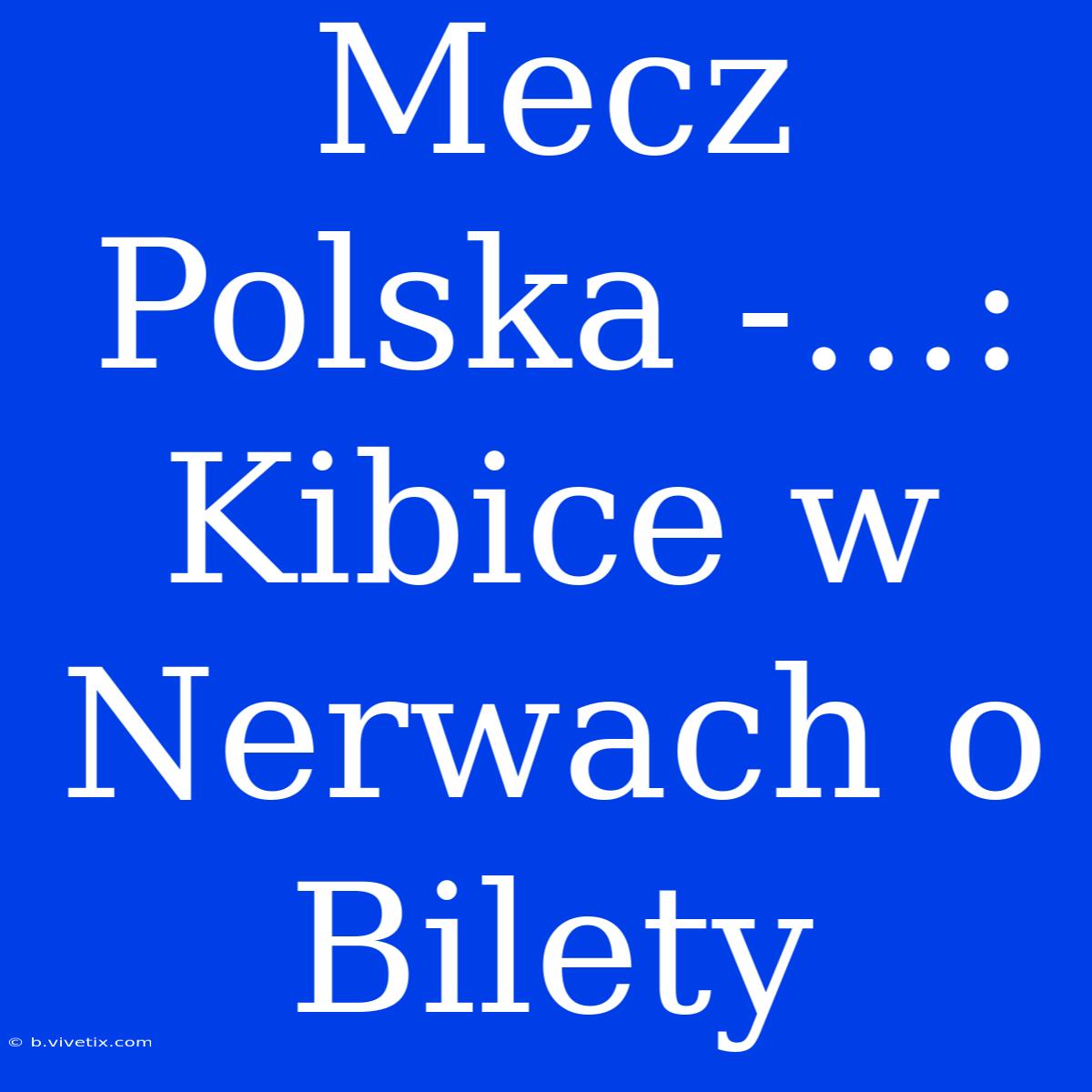 Mecz Polska -...: Kibice W Nerwach O Bilety