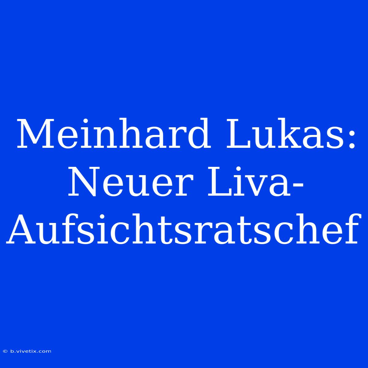 Meinhard Lukas: Neuer Liva-Aufsichtsratschef