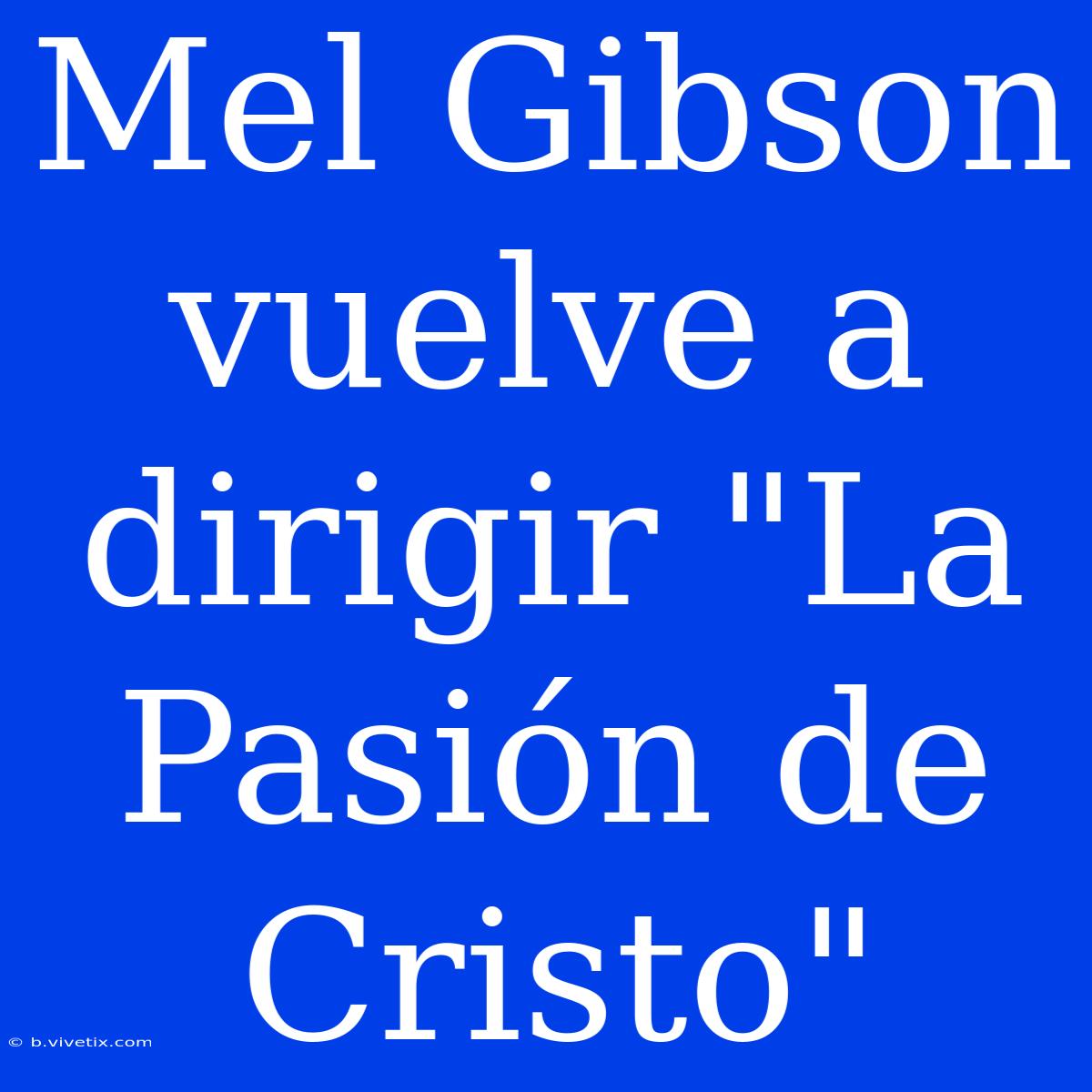 Mel Gibson Vuelve A Dirigir 