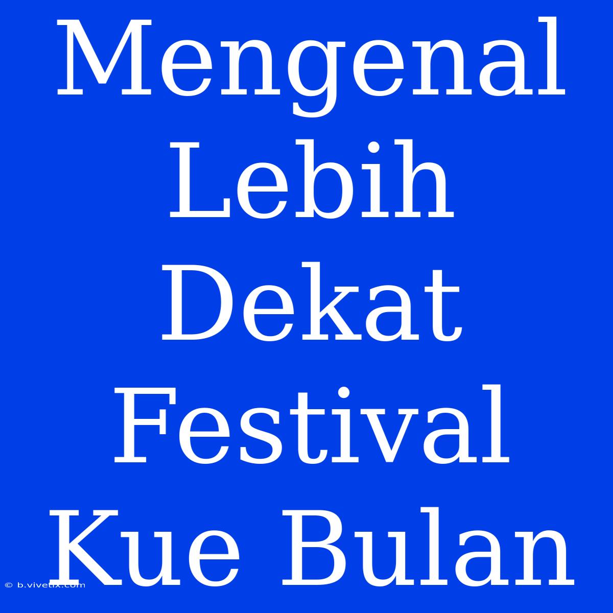 Mengenal Lebih Dekat Festival Kue Bulan