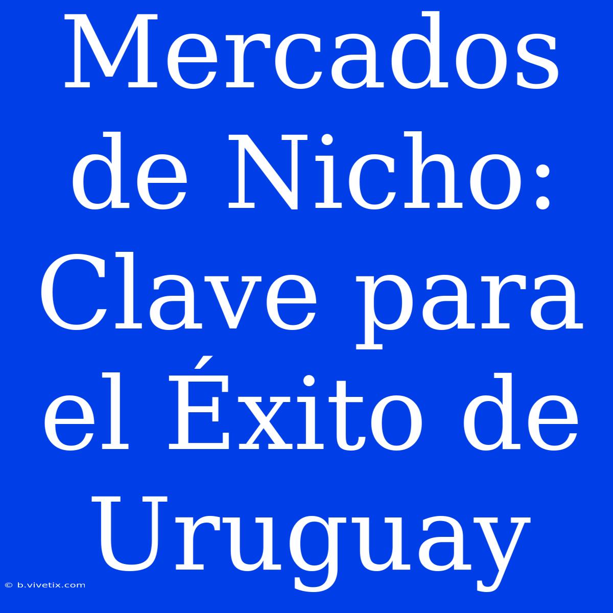 Mercados De Nicho: Clave Para El Éxito De Uruguay