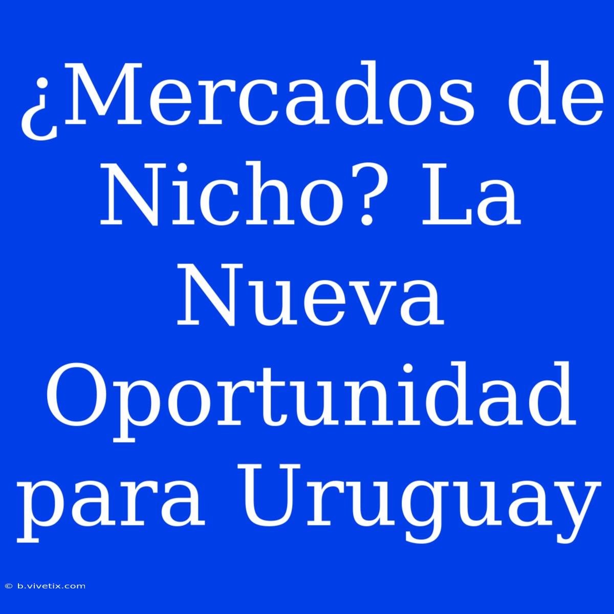 ¿Mercados De Nicho? La Nueva Oportunidad Para Uruguay