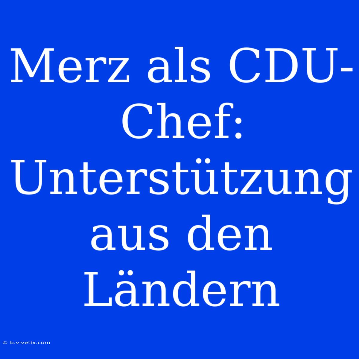 Merz Als CDU-Chef: Unterstützung Aus Den Ländern